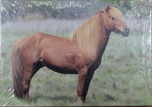 Load image into Gallery viewer, Series 5 - Limited Edition Assateague Horse Trading Cards
