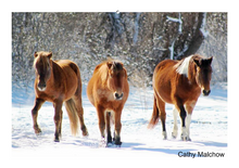 Load image into Gallery viewer, People&#39;s Choice Photo Contest Entry Fee
