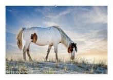 Load image into Gallery viewer, People&#39;s Choice Photo Contest Entry Fee
