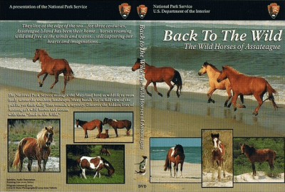 その他 Wild Ponies of Assateague  [DVD] [Import] その他 Wild Ponies of Assateague [DVD] [Import] 250px
