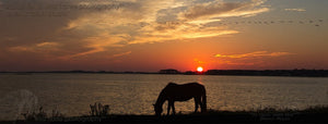 Plein Air Painting the Assateague Back Country with Special Photography Sessions - THREE DAY WORKSHOP 2023